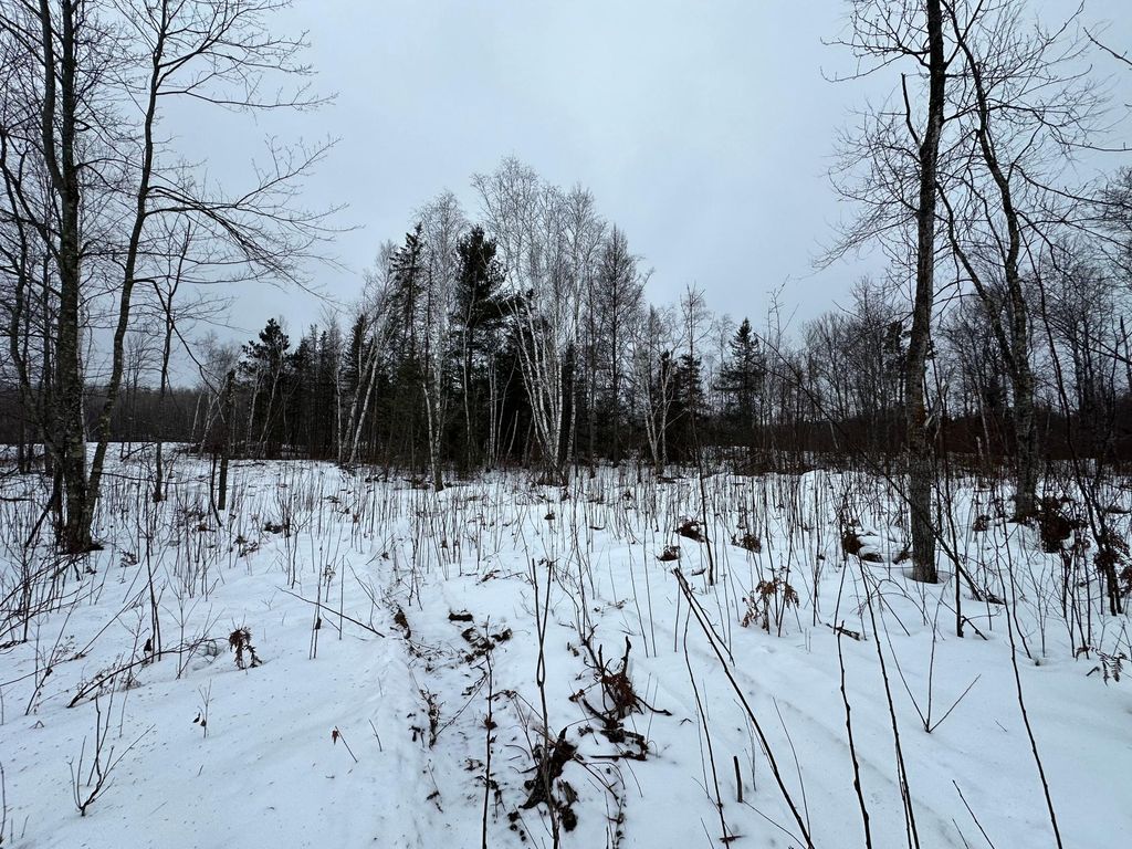 Photo of TBD #4 Koecher Road, Kerrick Twp, MN 55756 (MLS # 7002700)