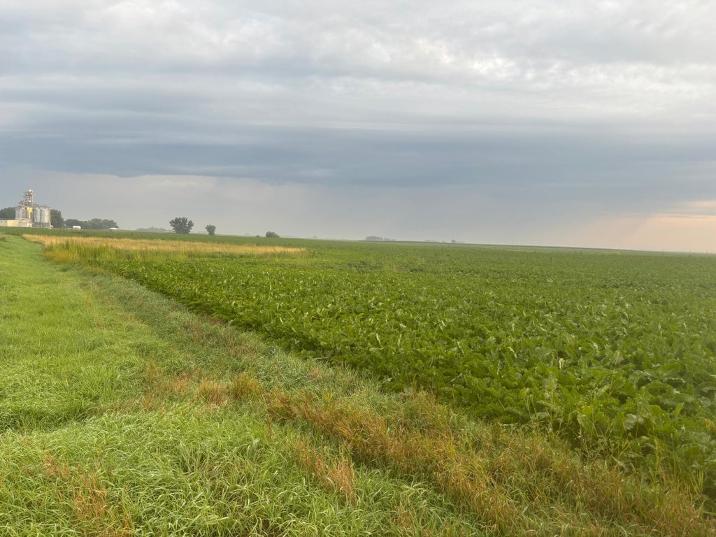 Photo of US highway 12 US Highway 12, De Graff, MN 56215 (MLS # 7129362)