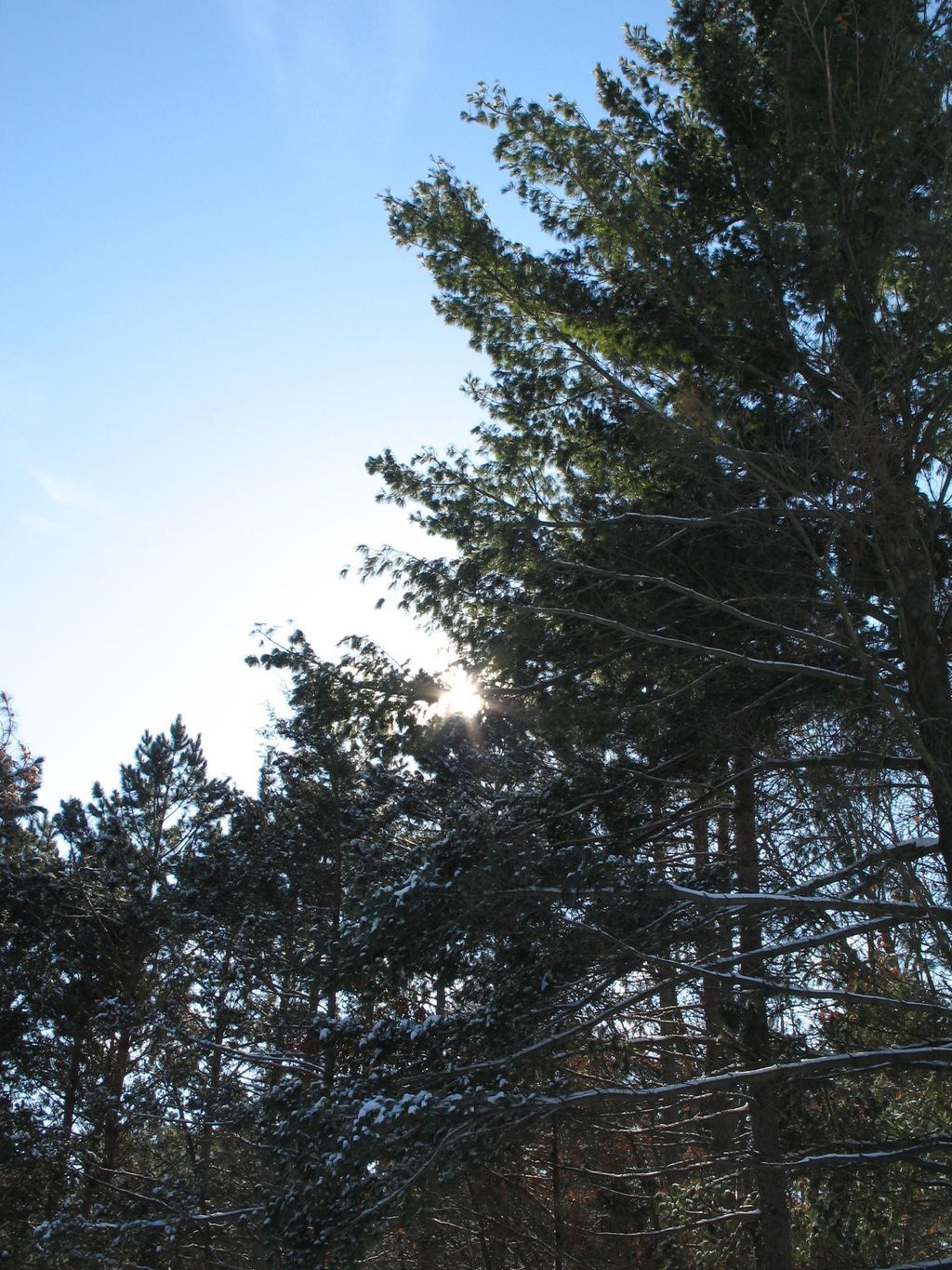 Photo of 1932 64th Street, Somerset, WI 54025 (MLS # 7009818)