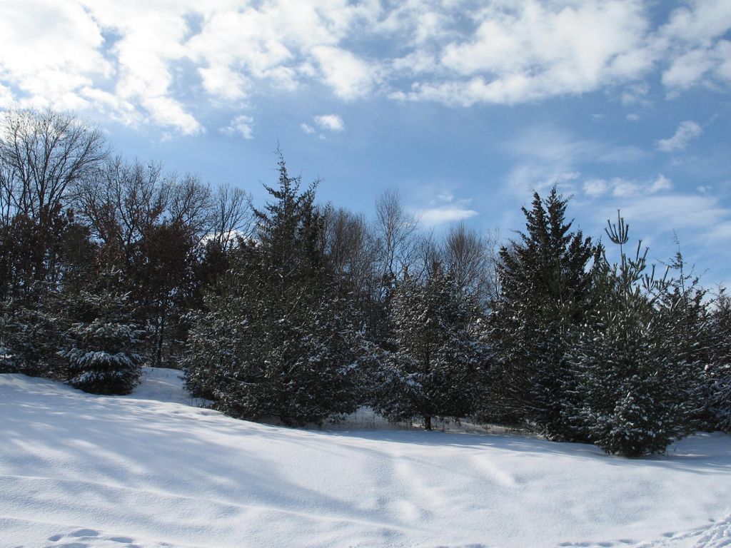 Photo of 1932 64th Street, Somerset, WI 54025 (MLS # 7009818)