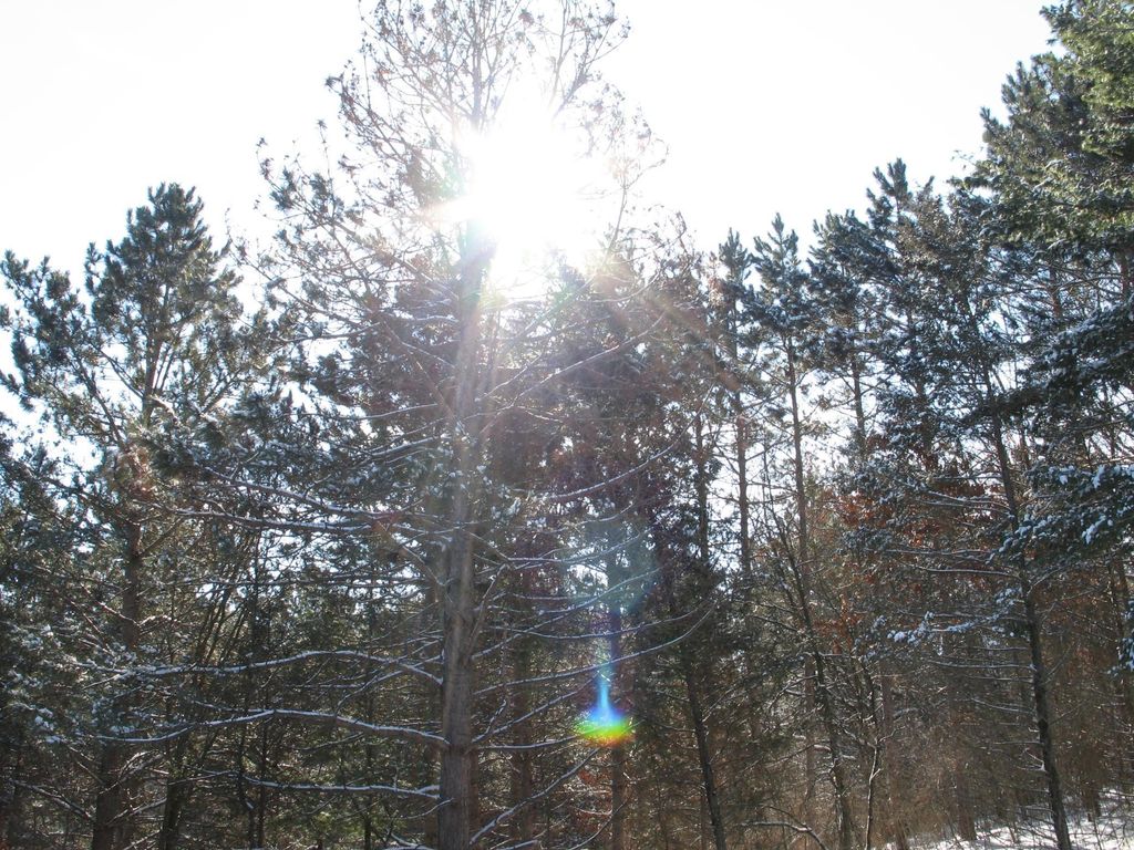 Photo of 1932 64th Street, Somerset, WI 54025 (MLS # 7009818)