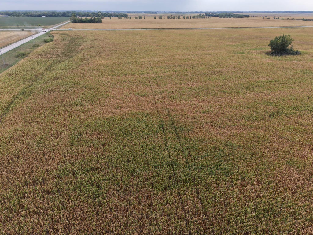 Photo of TBD County Rd 39, Borup, MN 56519 (MLS # 7161212)