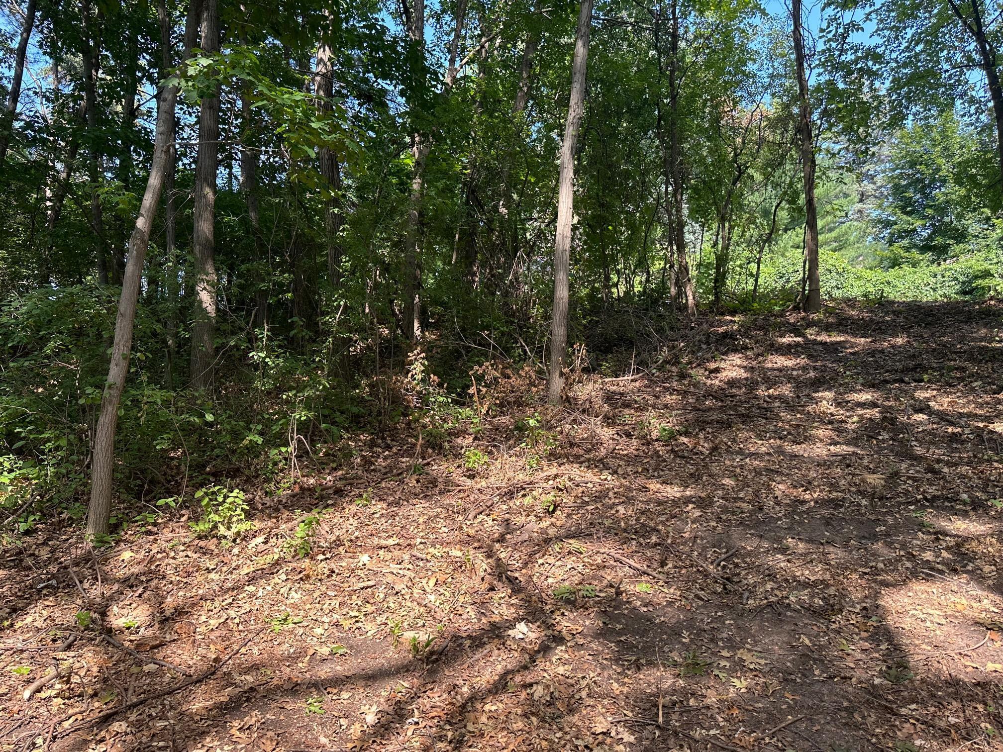 195X Glenhill Road