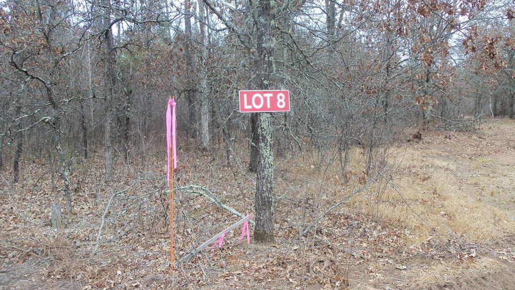 Photo of Lot 8 Canute Creek Trl, Grantsburg, WI 54840 (MLS # 7006775)