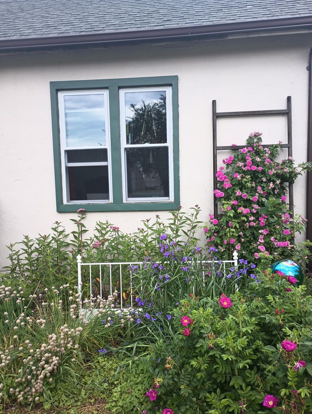 Photo of 217 N Blue Mound Avenue, Luverne, MN 56156 (MLS # 7020243)