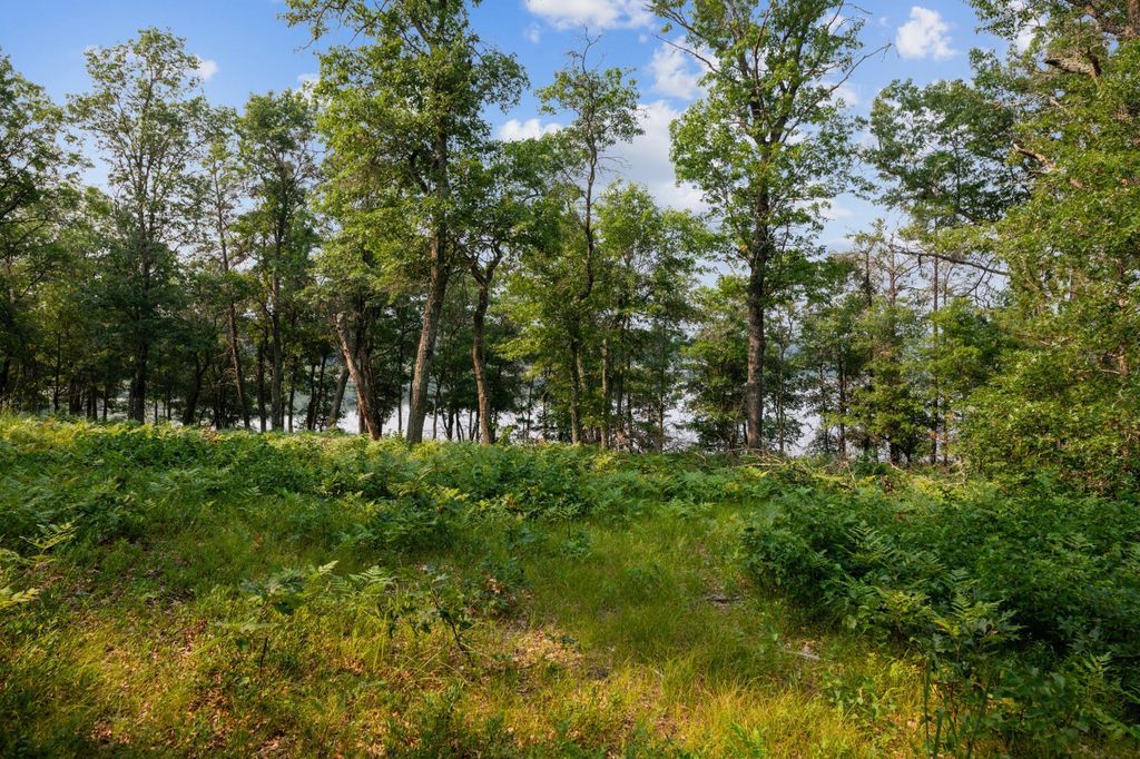Photo of 300xx Crystal Lake Drive, Danbury, WI 54830 (MLS # 7057790)