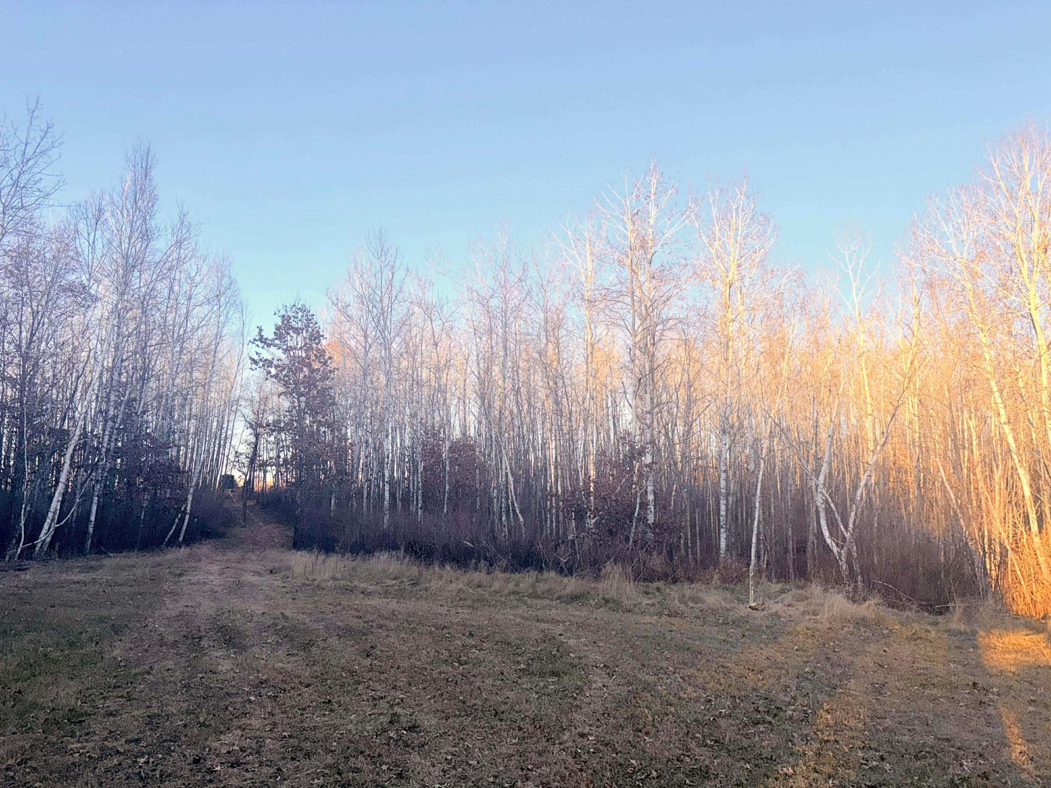 1287 Trinity Pines Lane NW