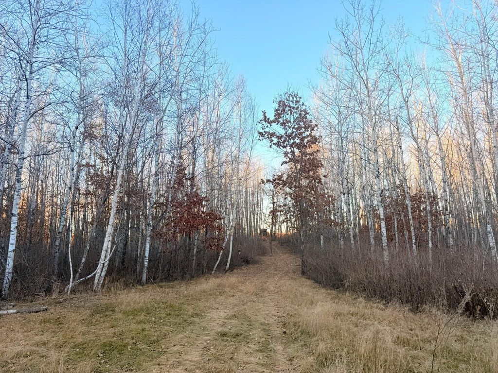 Photo of 1287 Trinity Pines Lane NW, Powers Twp, MN 56435 (MLS # 6821597)