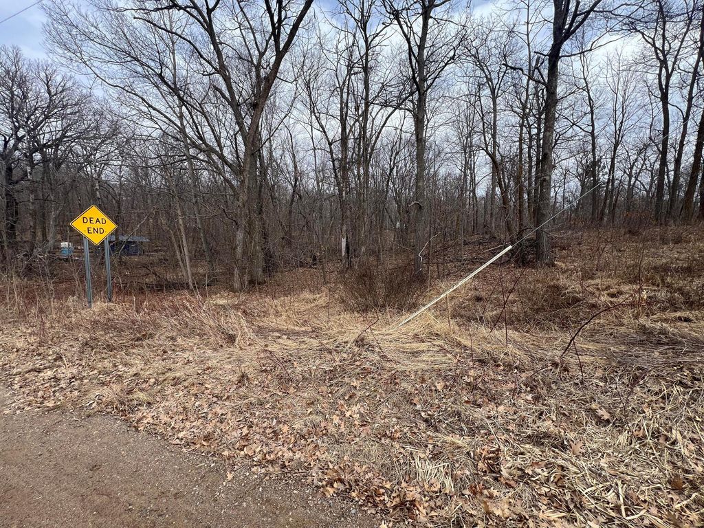 Photo of TBD Birdie Bend, Garrison, MN 56450 (MLS # 7047596)