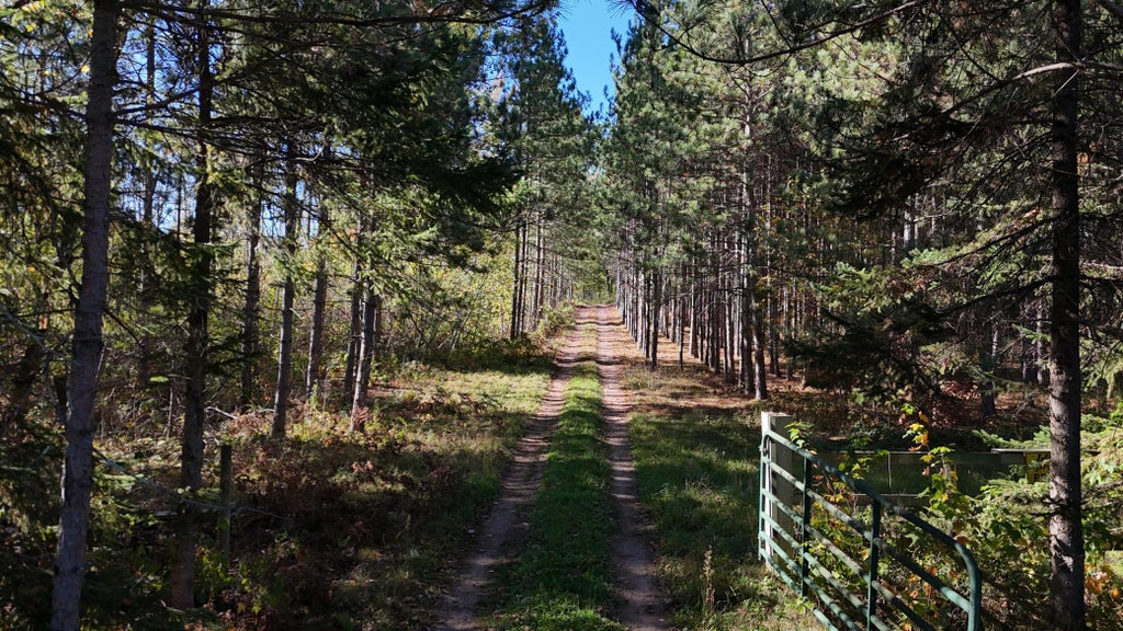 Photo of TBD BB Mann Road, Spooner, WI 54801 (MLS # 7102488)