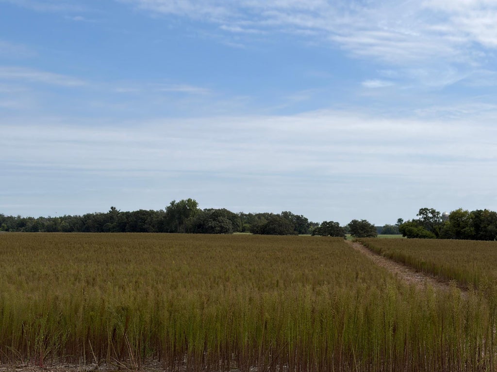 Photo of TBD (L11-SM East) Yellowpine Court NW, Isanti, MN 55040 (MLS # 7150388)