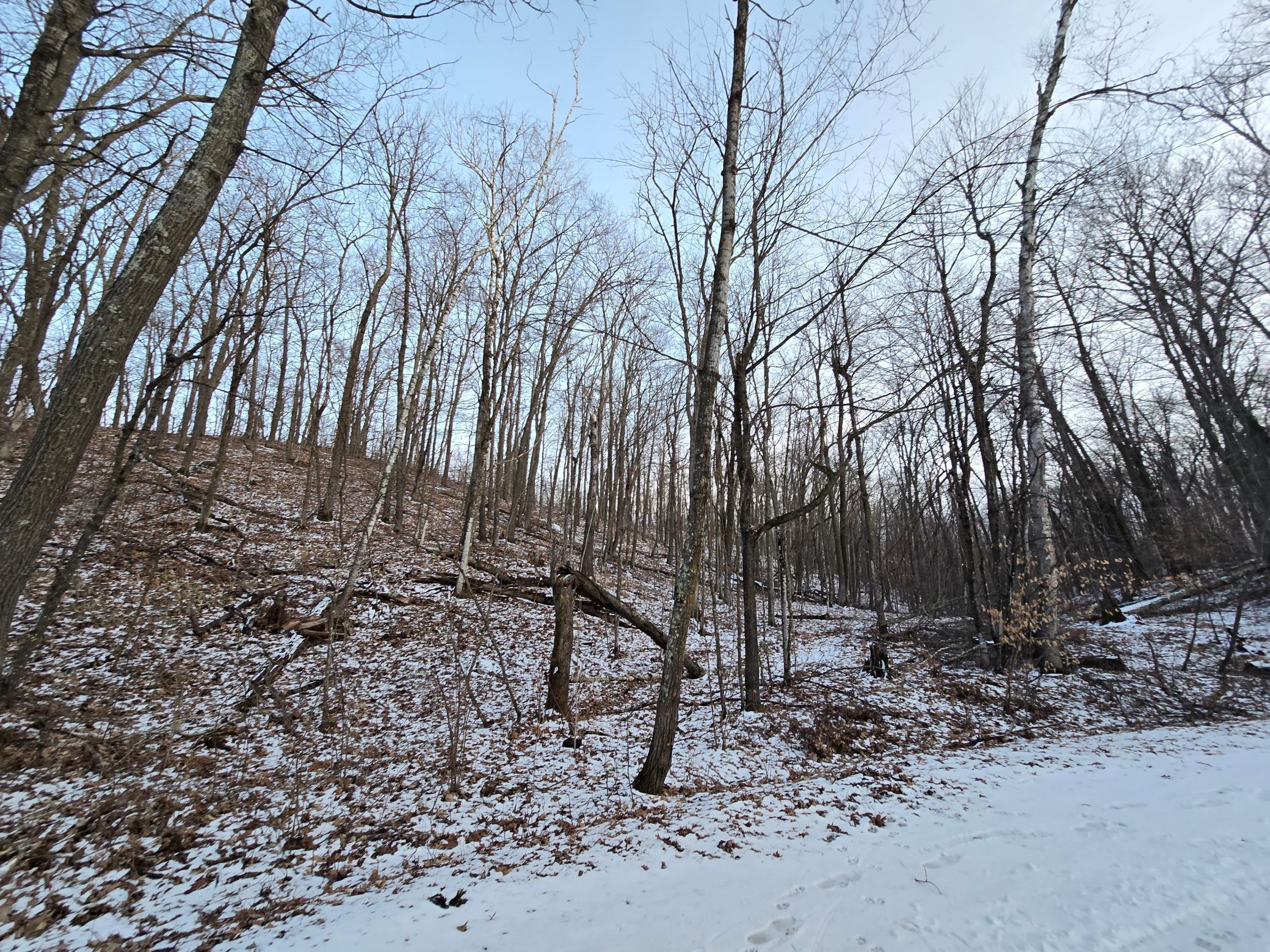 Lot25Blk1 Westward Ho