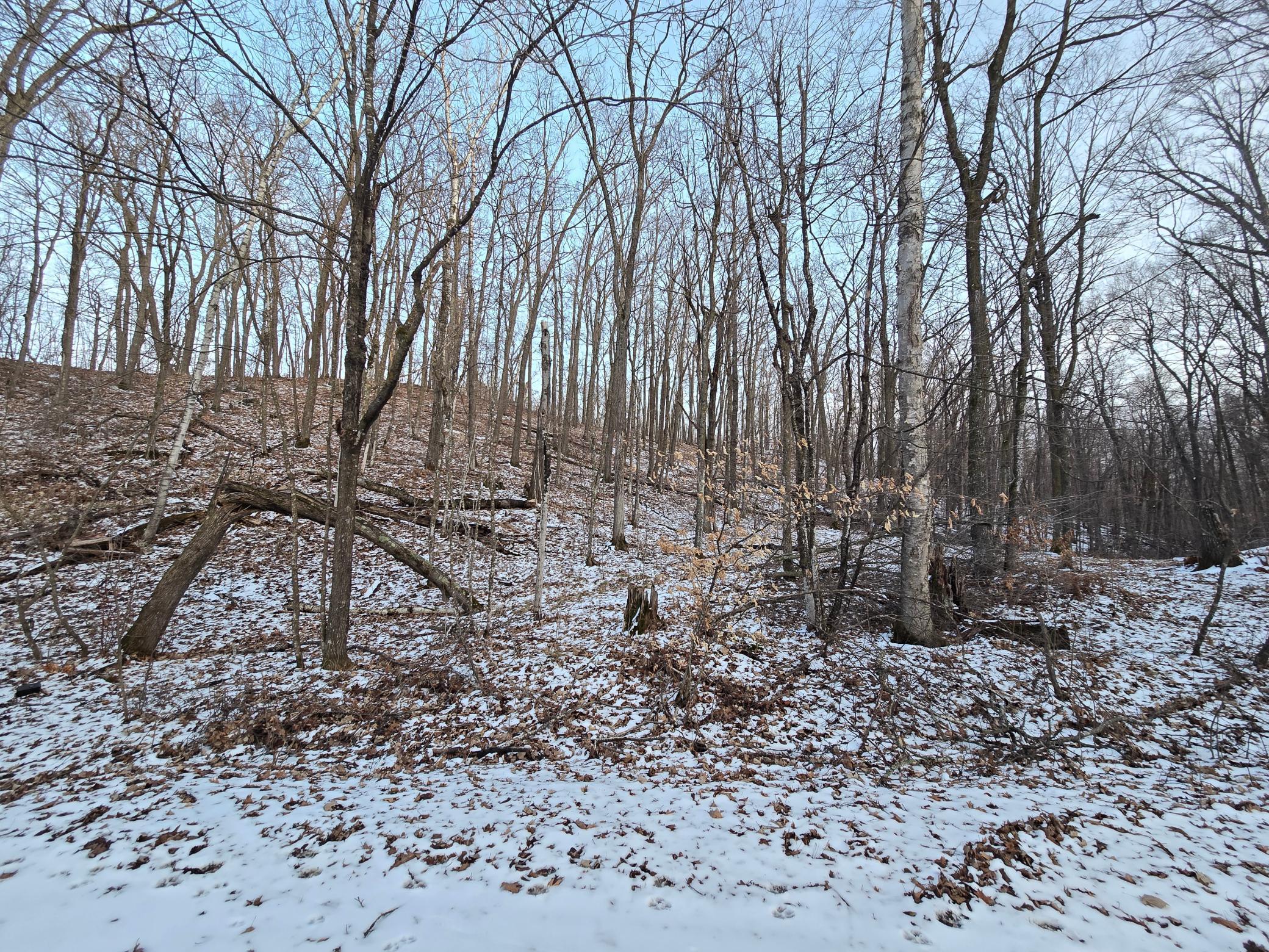 Lot25Blk1 Westward Ho