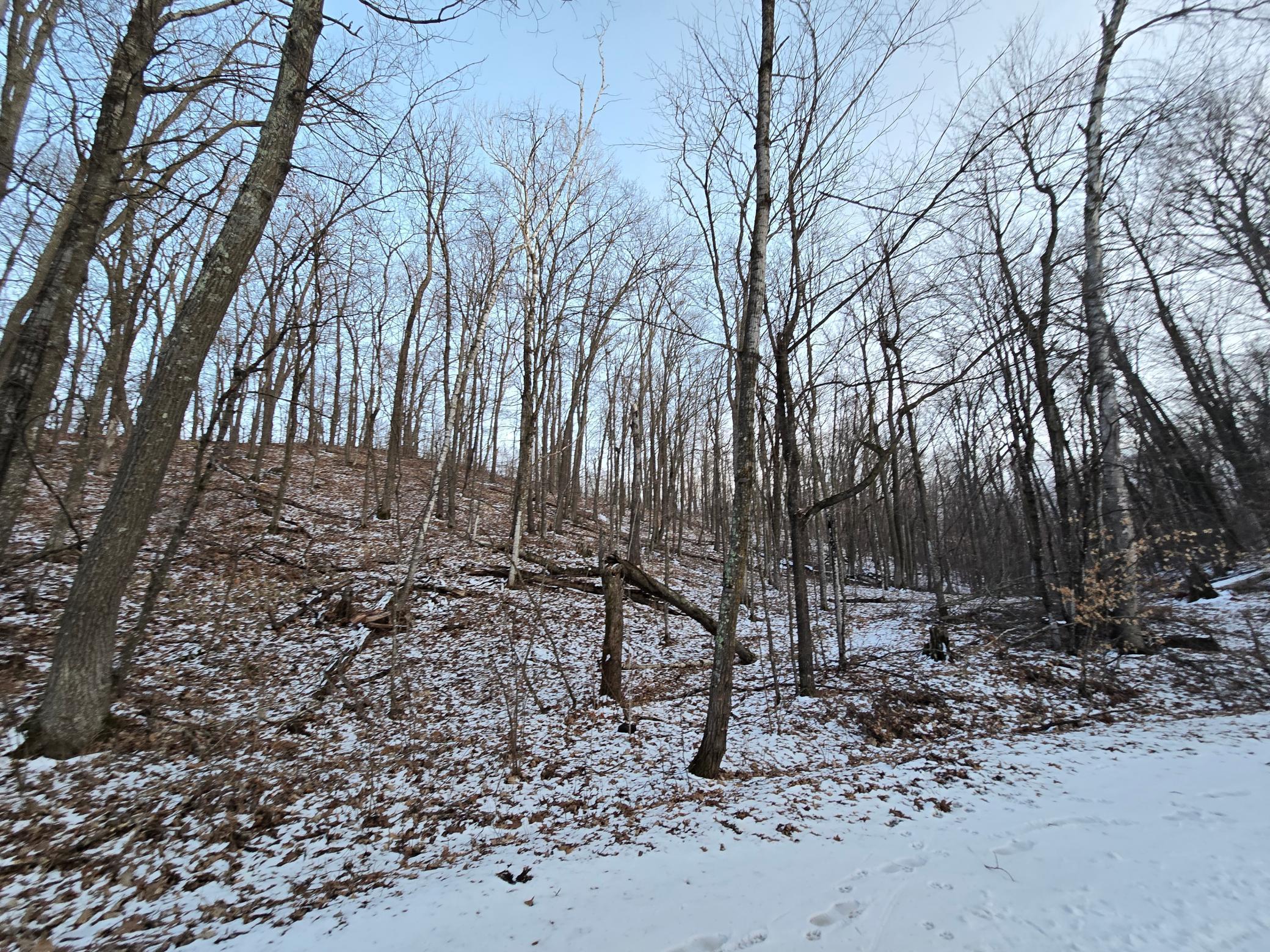 Lot25Blk1 Westward Ho