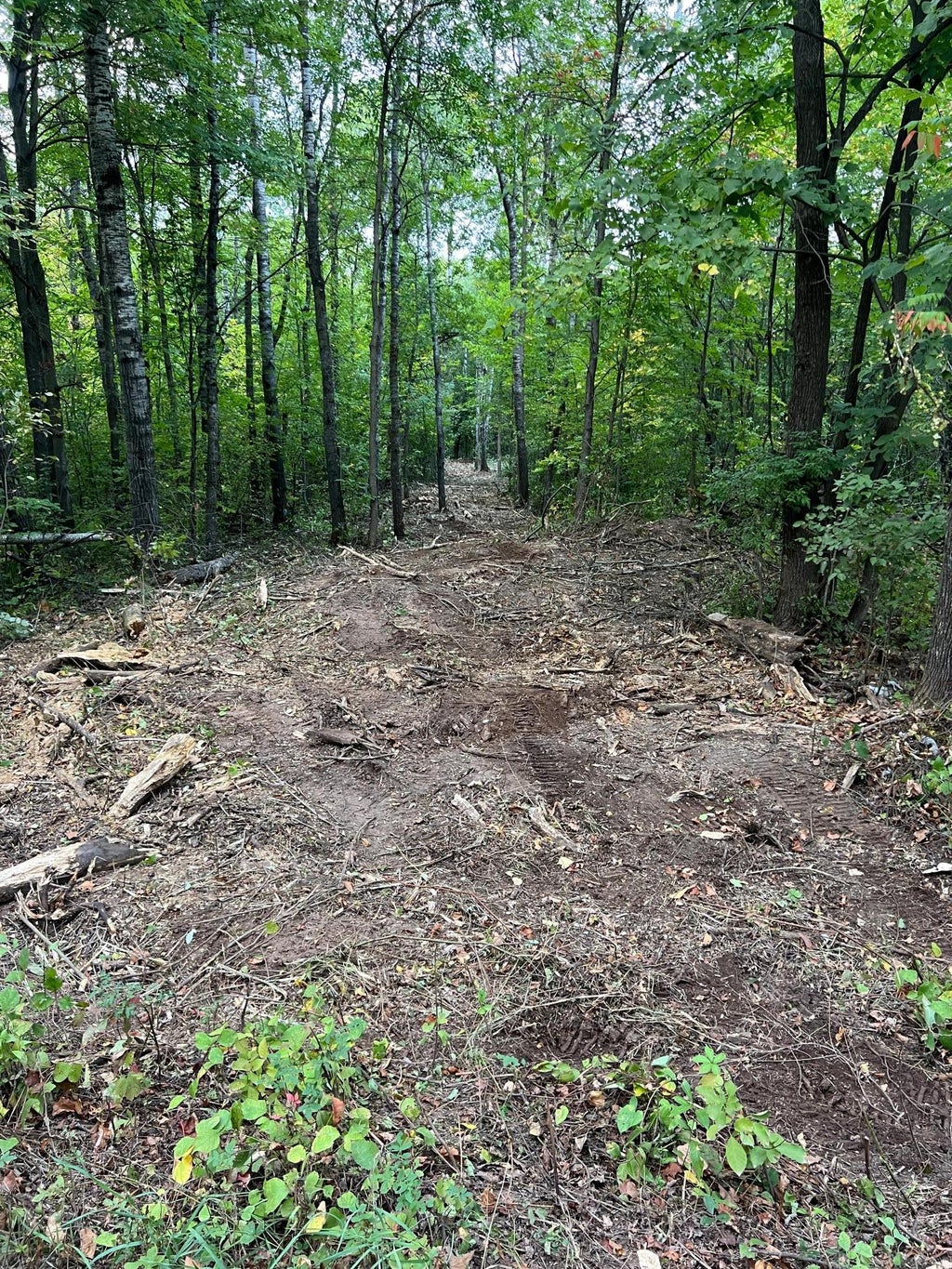 Photo of 000 Maple Tree Lane, Pine City, MN 55063 (MLS # 7143461)