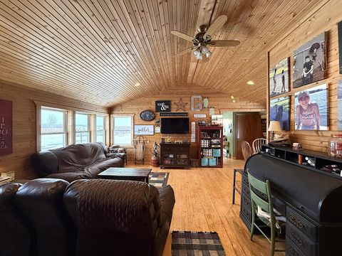Photo of 3876 230th Street, Montevideo, MN 56265 (MLS # 7016024)