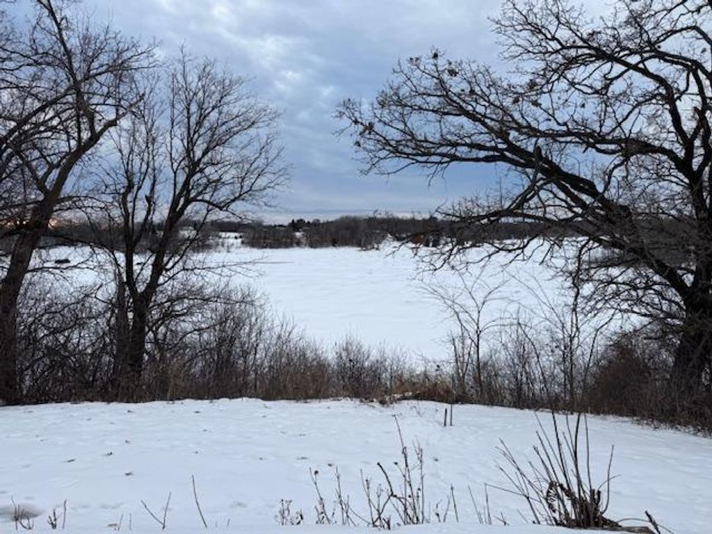 Photo of 10732 Stillwater Boulevard N, Lake Elmo, MN 55042 (MLS # 7018226)