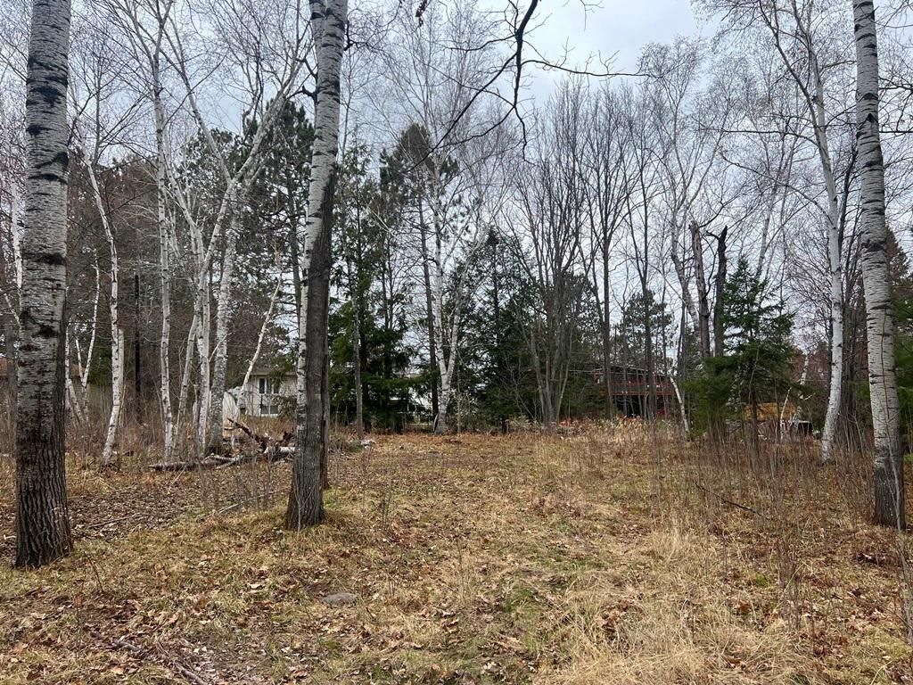 Photo of TBD 3rd Avenue SW, Grand Rapids, MN 55744 (MLS # 7068712)