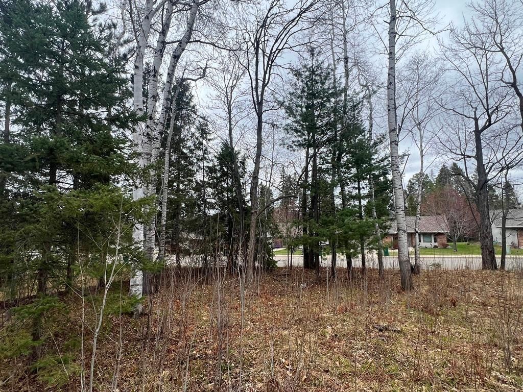 Photo of TBD 3rd Avenue SW, Grand Rapids, MN 55744 (MLS # 7068712)
