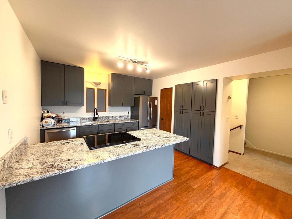 Photo of 1907 S 5th Street, Minneapolis, MN 55454 (MLS # 7036564)