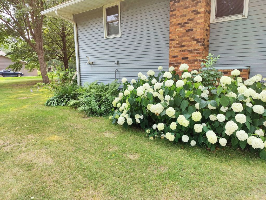 Photo of 14597 Ryan Street, Little Falls, MN 56345 (MLS # 7045403)