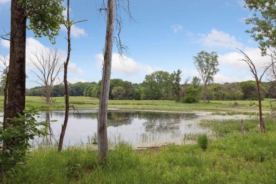 11454 Blazingstar Lane N