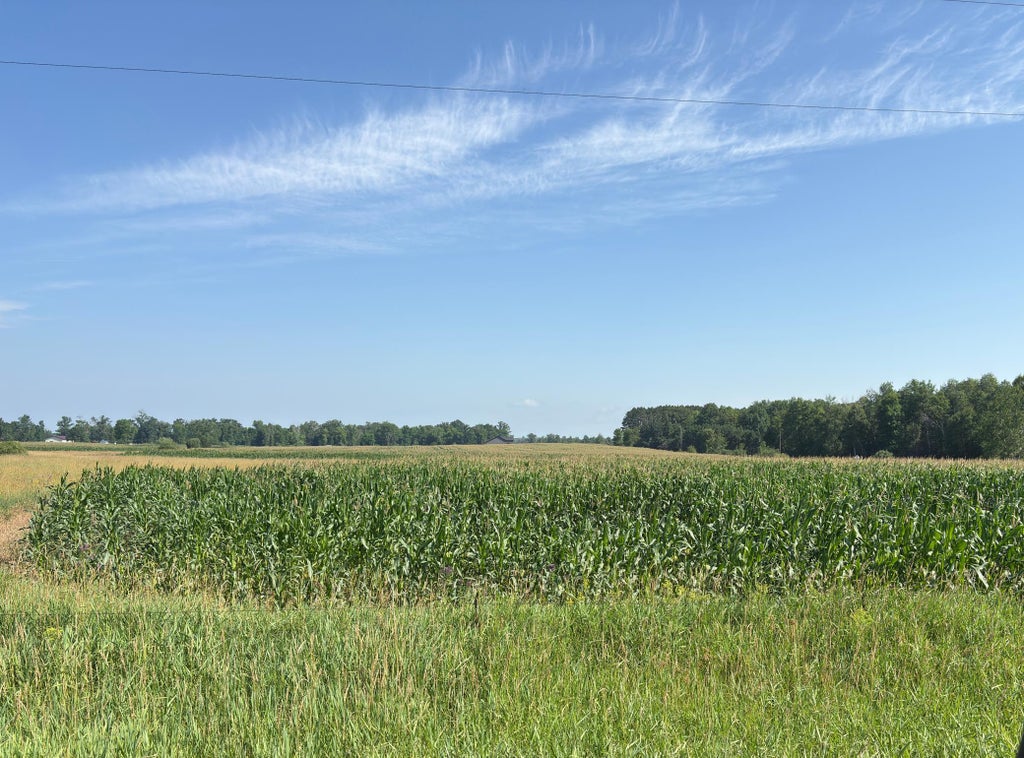 Photo of 19285 90th Avenue, Milaca, MN 56353 (MLS # 7108841)