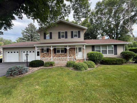Photo of 301 Birch Street, Lucan, MN 56255 (MLS # 6773600)