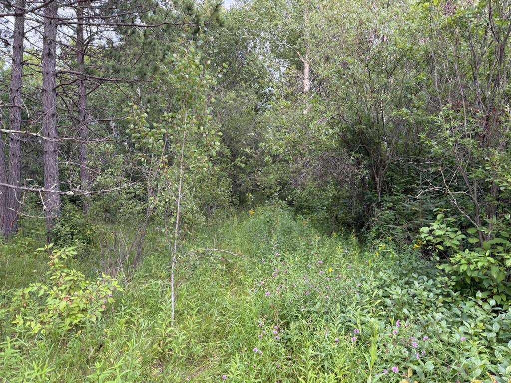 Photo of 4788 Town Road, Ray, MN 56669 (MLS # 7126471)