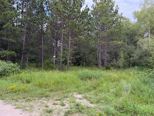TOWN RD, INTERNATIONAL FALLS, MN 56649 - Image a6f23147e1fcb0fdb21d52bbb33c08ef/3355114655