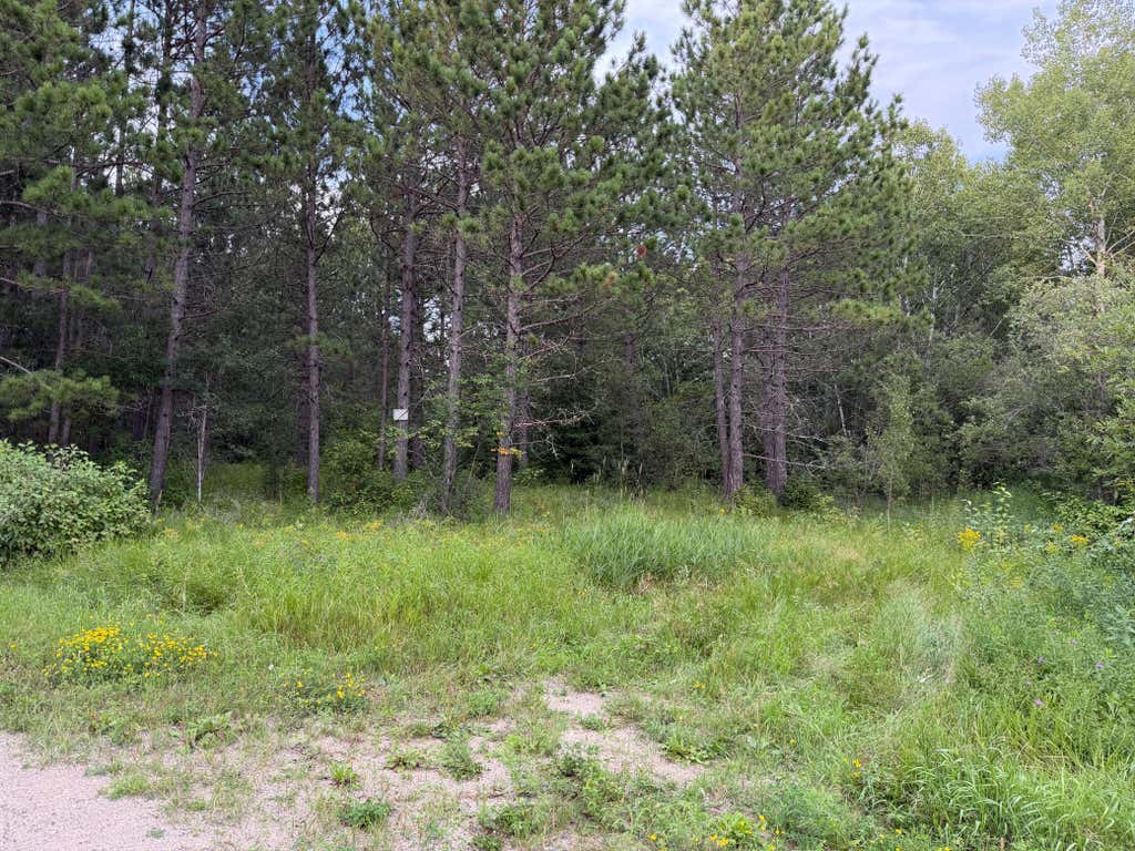 Photo of 4788 Town Road, Ray, MN 56669 (MLS # 7126471)
