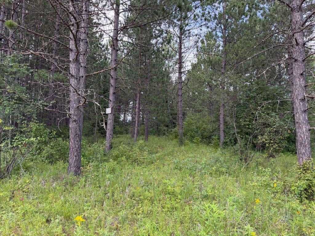 Photo of 4788 Town Road, Ray, MN 56669 (MLS # 7126471)