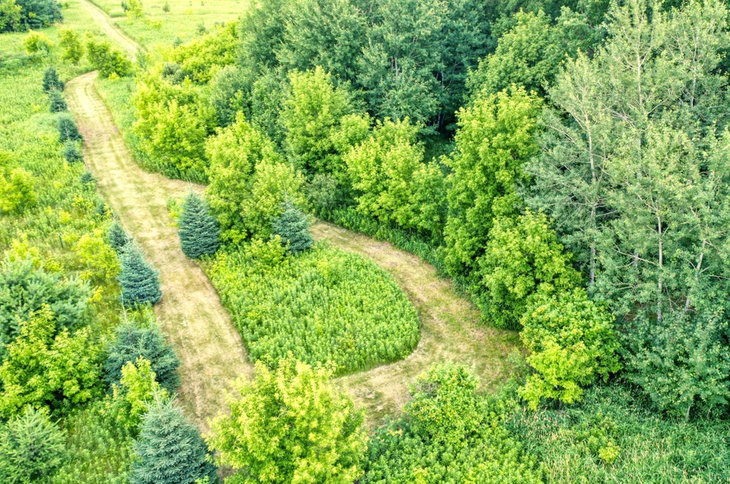 Photo of TBD 555th St, Rush City, MN 55069 (MLS # 7105252)