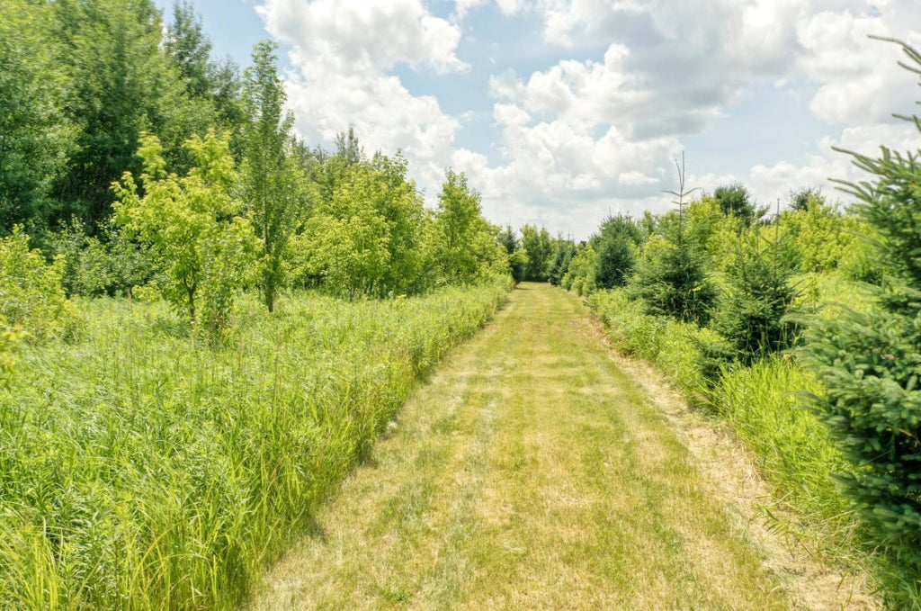 Photo of TBD 555th St, Rush City, MN 55069 (MLS # 7105252)