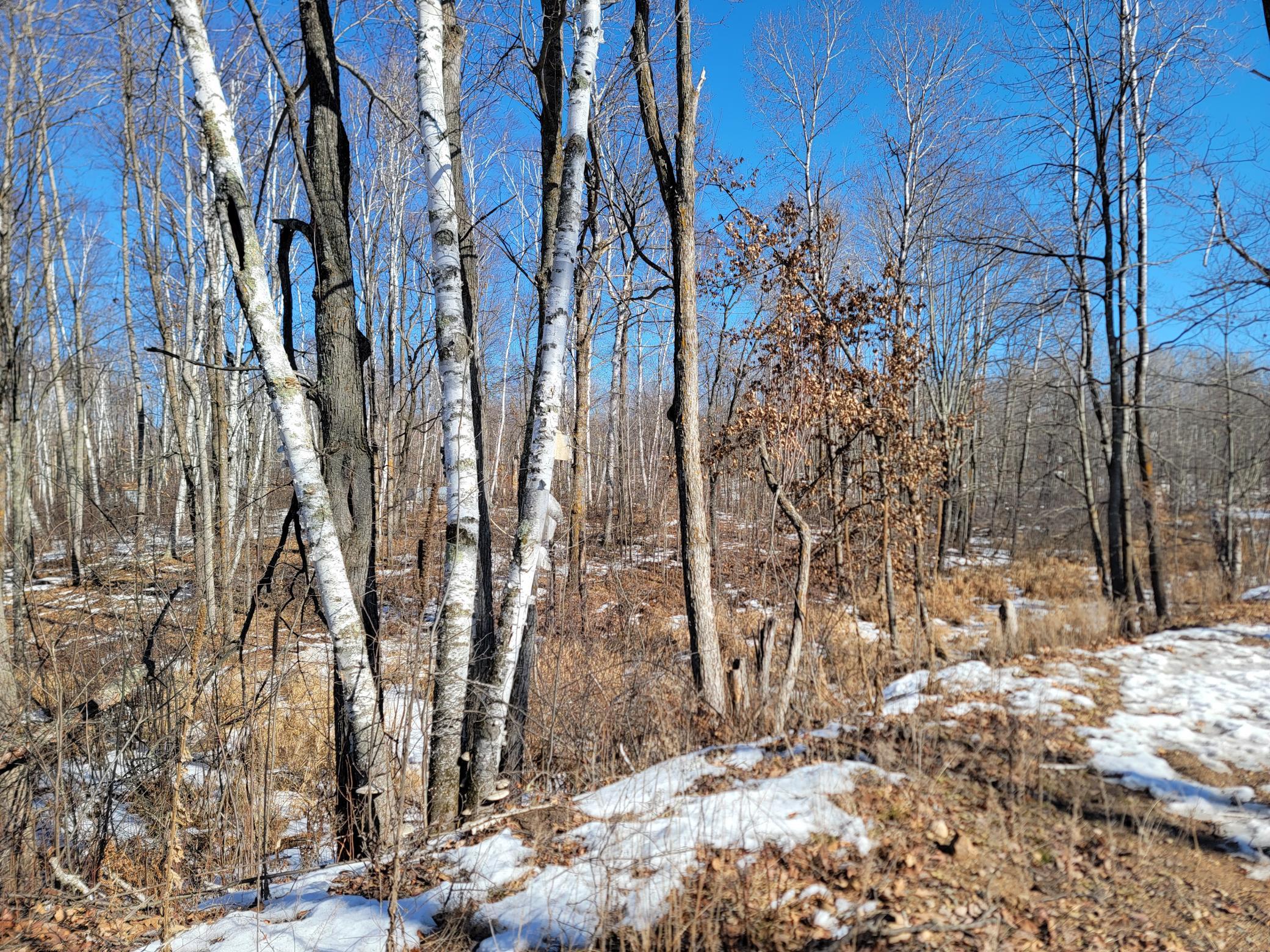 TBD XXXX Meadow Lake Road SW