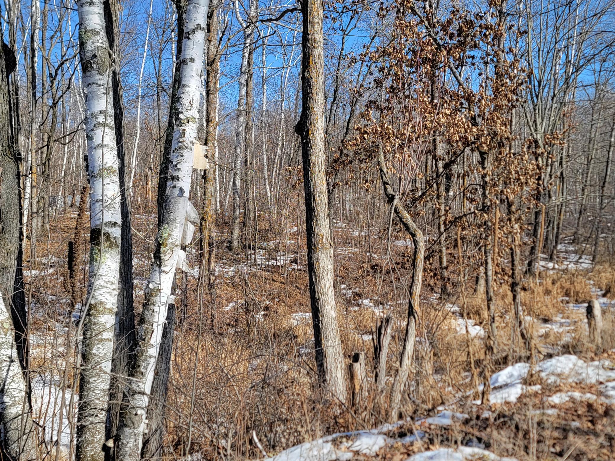 TBD XXXX Meadow Lake Road SW
