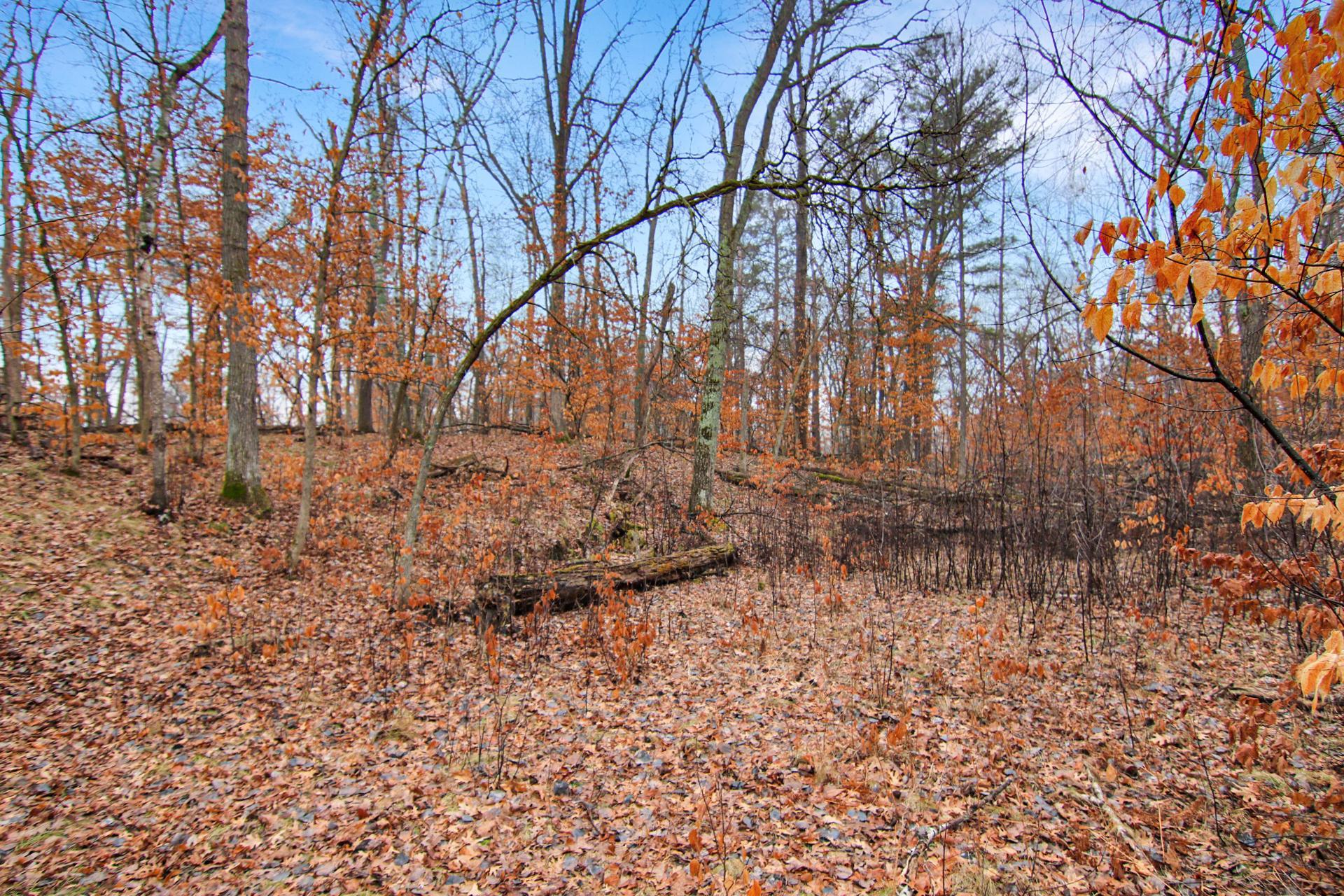 TBD Lots 200 & 201 Lynx Drive