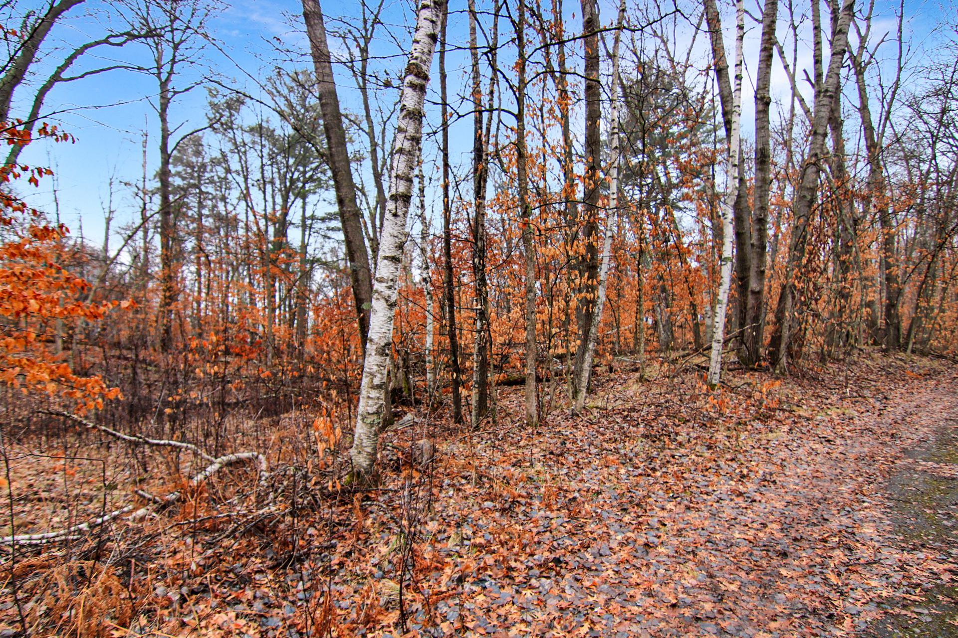 TBD Lots 200 & 201 Lynx Drive