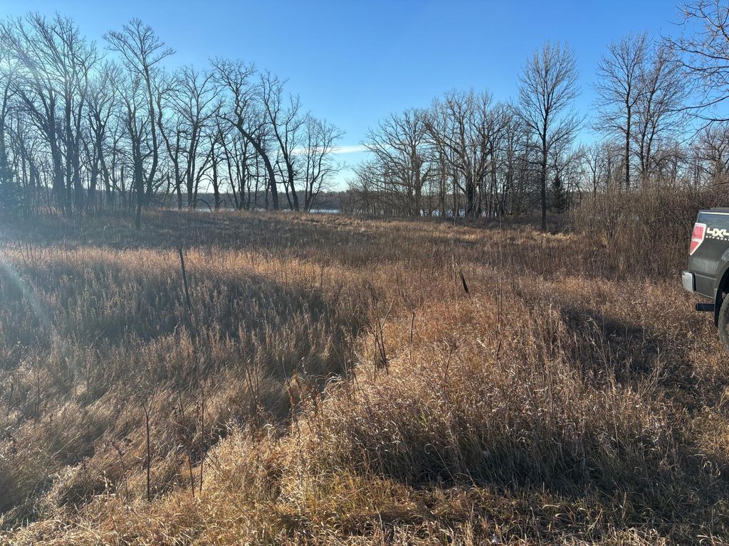 Photo of TBD Leaf River Road, Leaf Lake Twp, MN 56571 (MLS # 6816900)