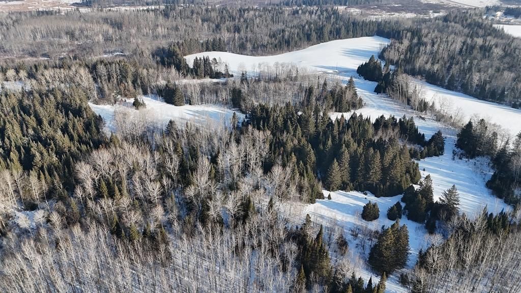 Photo of 12905 Township Road D, Wawina, MN 55736 (MLS # 7033236)