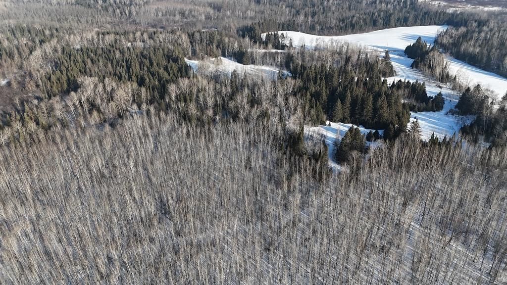 Photo of 12905 Township Road D, Wawina, MN 55736 (MLS # 7033236)