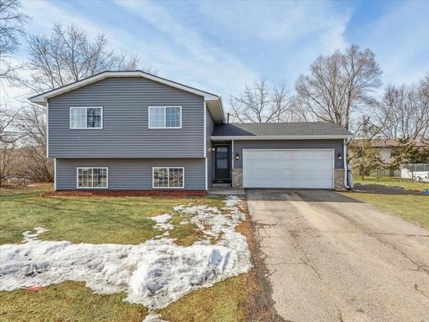 Photo of 8768 Moorhouse Avenue, Clear Lake, MN 55319 (MLS # 7031250)