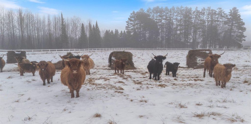 Photo of 13601 E County Road 578, Goodland, MN 55742 (MLS # 7003478)