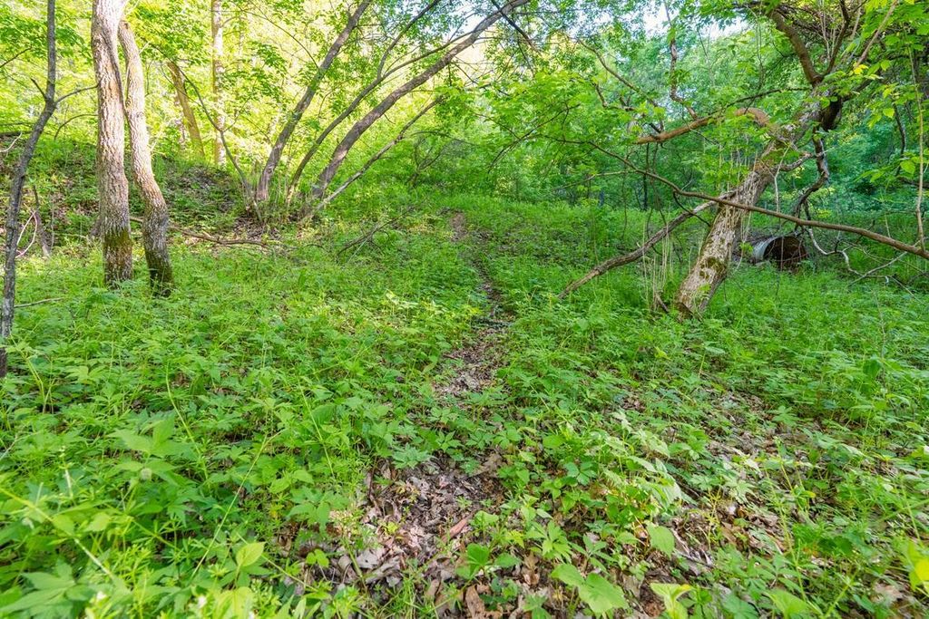 Photo of E3555 1120th Avenue, Boyceville, WI 54725 (MLS # 7081410)