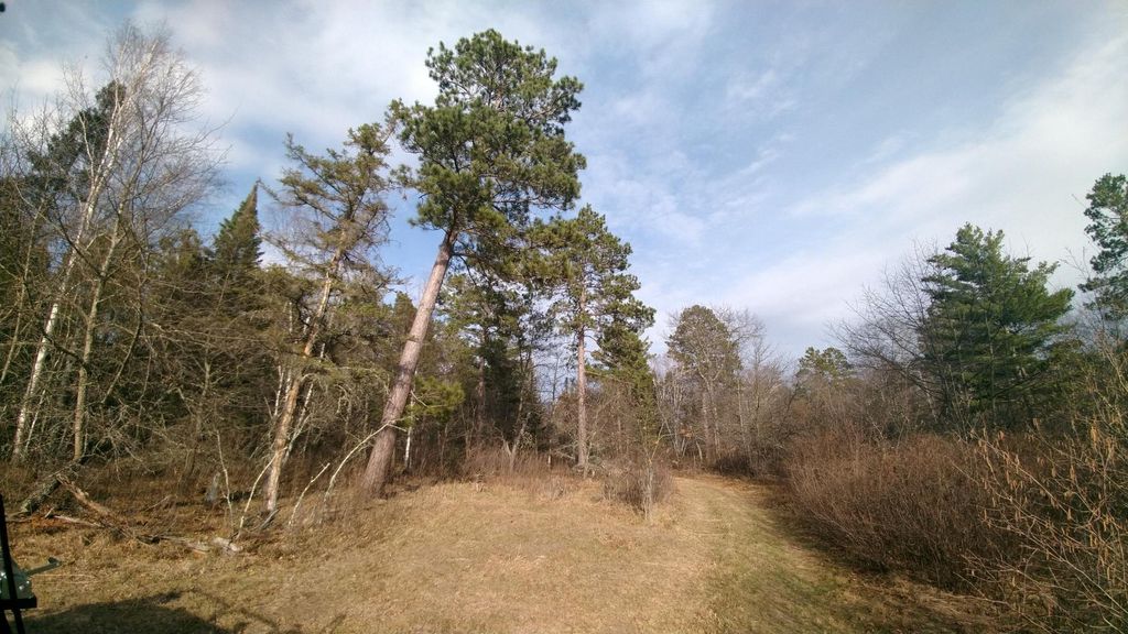 Photo of 50126 County 29, Bemidji, MN 56601 (MLS # 7063238)