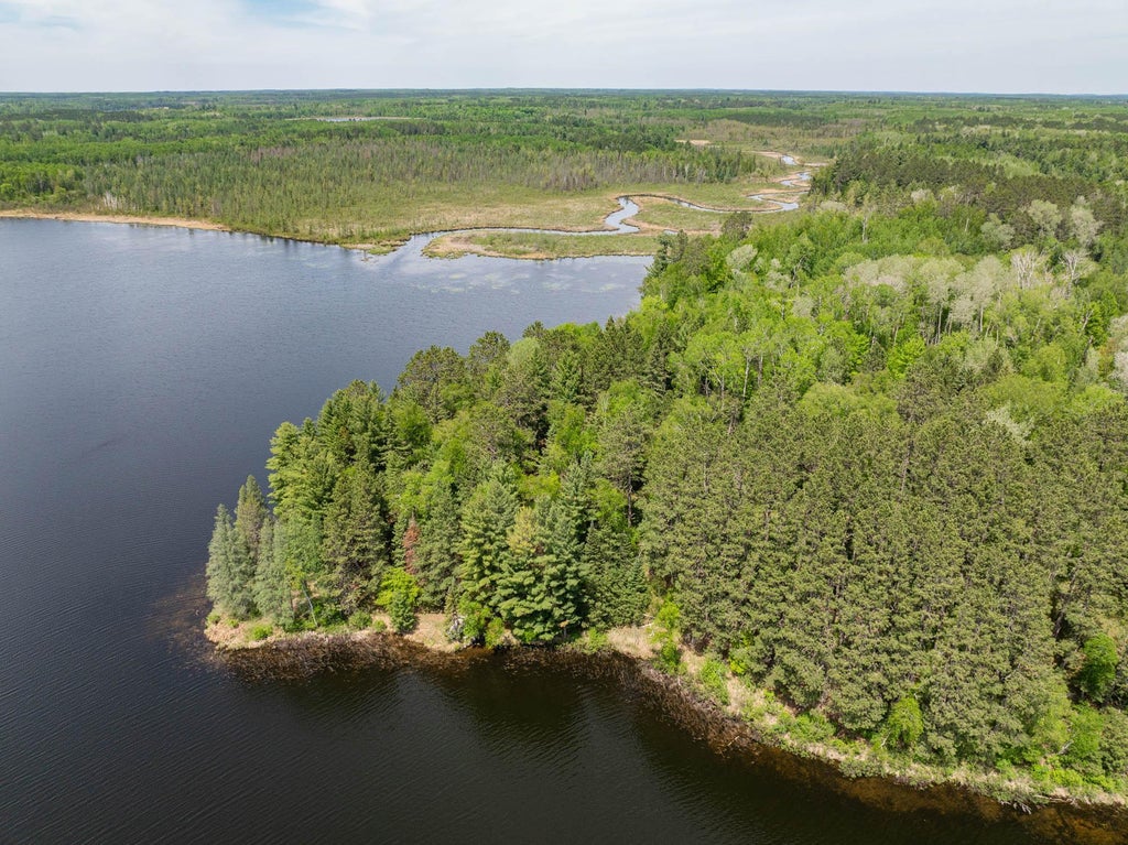 Photo of 29588 County Road 52, Bigfork, MN 56628 (MLS # 7117499)