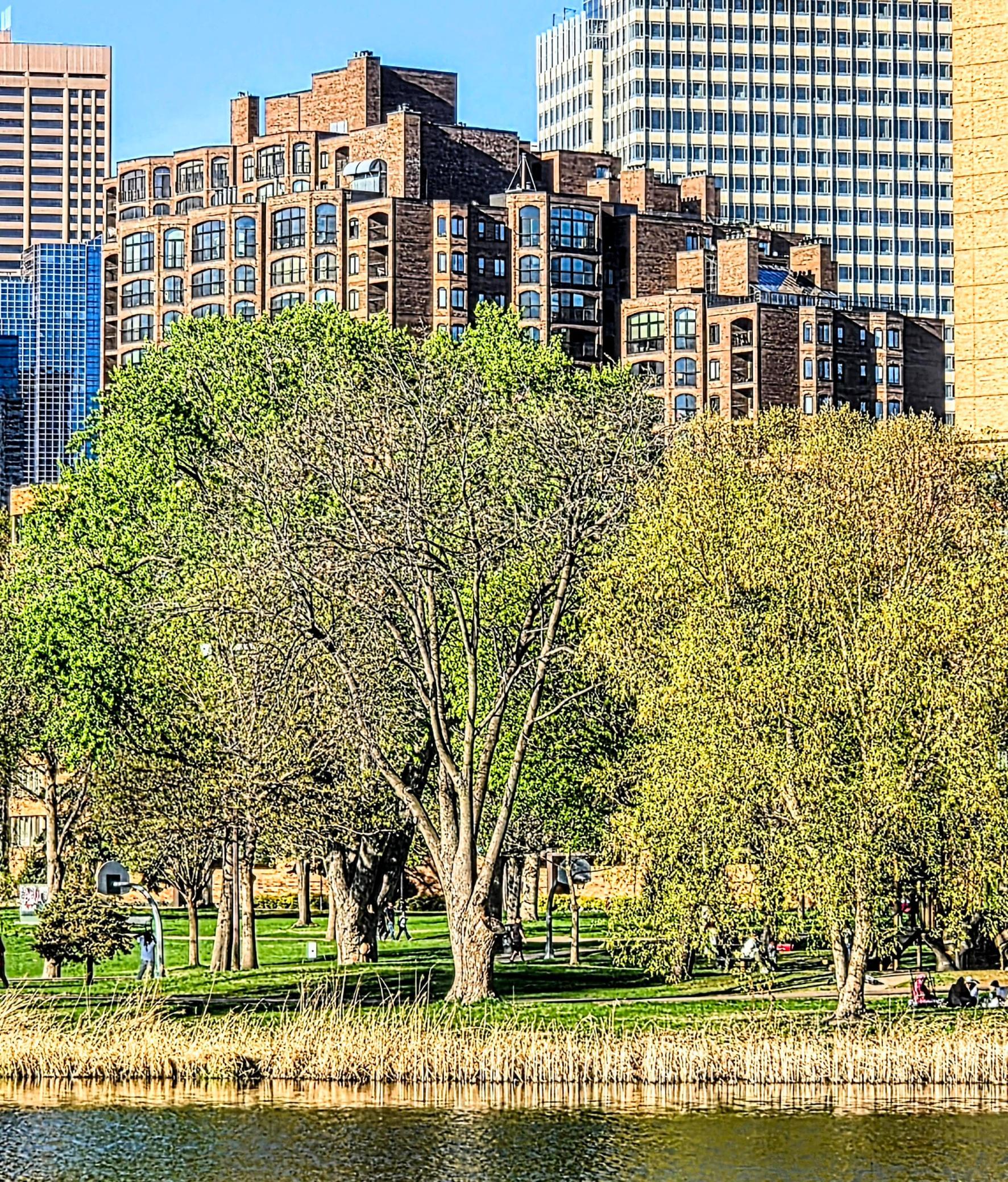 1235 Yale Place 1701