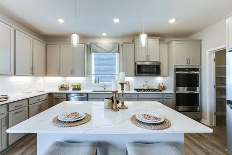 1481 Sophia Drive Chaska MN 55318