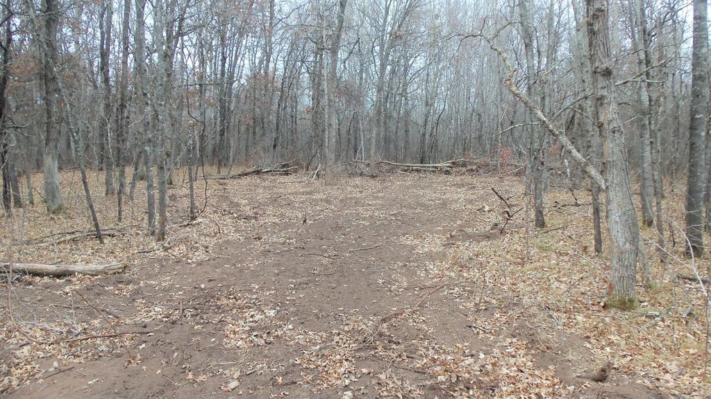 Photo of Lot 7 Canute Creek Trl, Grantsburg, WI 54840 (MLS # 7006773)