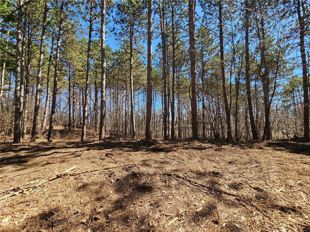 Photo of 1870 County Road C, Somerset, WI 54025 (MLS # 7157638)